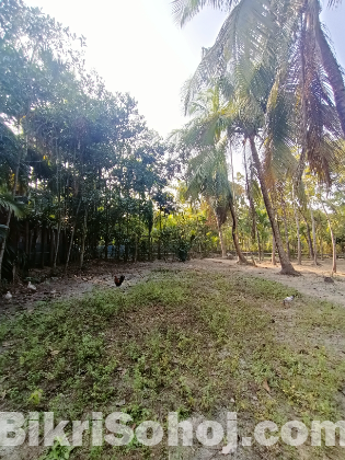 জমি বিক্রি